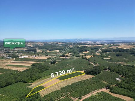 Remax Mavi'den Kızılcaali'de Bakımlı Ve Yetişkin Fındık Bahçesi