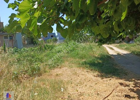 Mudanya Esence Mah.de Satılık Yer Deniz Kenarı 100 Metre İçeride İmar Planı Onay Aşamasındadır.