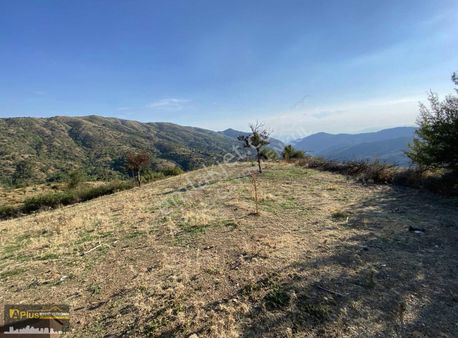 A Plus Gayrimenkulden Tire Yamandere'de Yola Sıfır Kupon Tarla