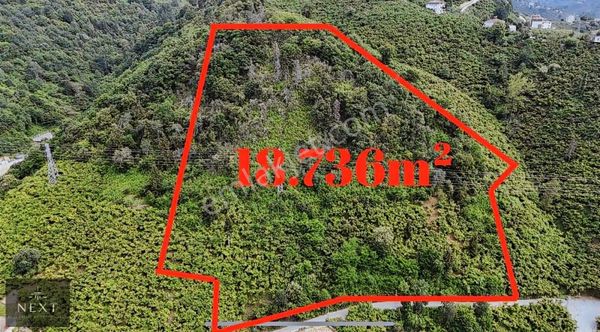 Arsin Merkez'de Satılık Arsa