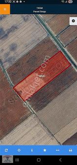 Çıplak Köyünde Sulu Tarıma Uygun Fırsat Tarla !