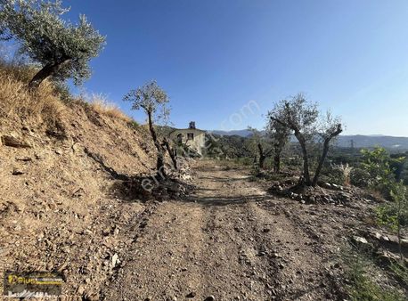 A Plus Gayrimenkulden Kocaaliler Köyünde Satılık Müstakil Ev