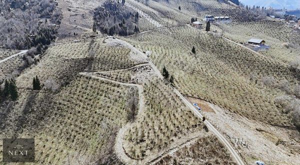 Next Real Estate Trabzon Dan Mağmat'da Satılık Arazi