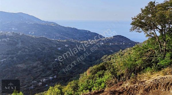 Trabzon Mersin'de 1800 M2 Deniz Manzaralı Fırsat Arsa