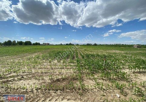 Konya Yoluna 500 Metre Mesafede 15 Dönüm Tek Tapulu Sulu Tarlamız Satılıktır.