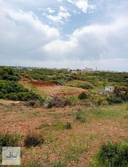 Didim Akyeniköy Balova'da Satılık İmarlı 300 M2 Arsa