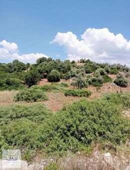 Didim Akyeniköy Bozseki Mevkiinde Yatırımlık Villa Arsası