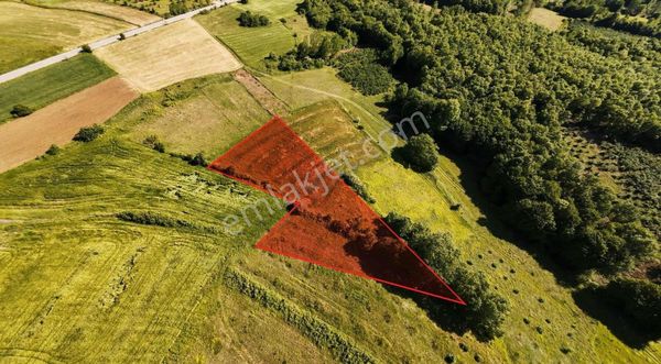 İzmit Ambarcıda Yola 2 Parsel 2.217 M2 Tarla