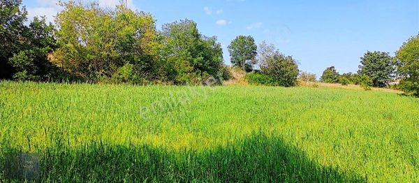 Bilecik Merkez Gökpınar Köyünde 1953 M2 Satılık Yatırımlık Arazi