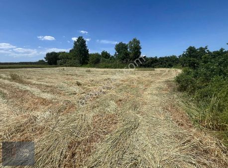 Eskikarağaç Mahallesinde Yatırımlık 2900m2 Satılık Arazi