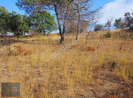 Yenişehir Terziler Köyünde Yatırımlık 1253m2 Satılık Arazi