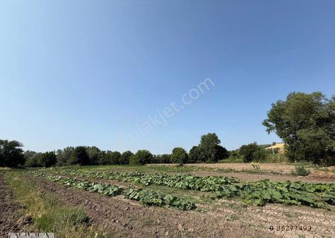 Olivium'dan Nilüfer Yolçatı'da Satılık 229 M2 Bahçe