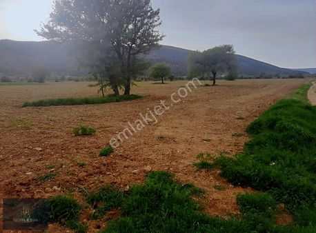 Serinhisarda Hobi Bahçelik Parsel