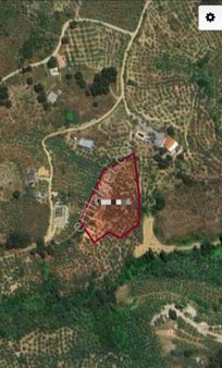 Ena Group Bursa Mudanya Musabey'de Deniz Manzaralı 3650 M2 Satılık Zeytinlik