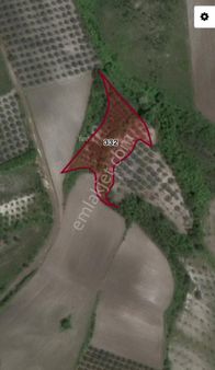 Bursa Karacabey'de Yatırım Fırsatı