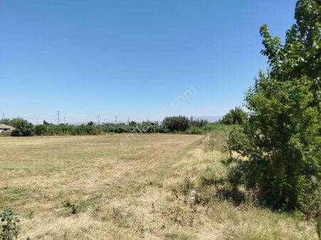 Manisa Salihli Zafer Mahallesinde İmar Bitişiğinde Satılık Tarla