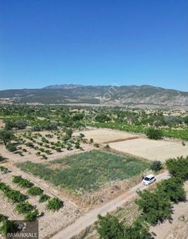 Acıpayam Avşarda Köye Yakın Hobi Bahçelik Fırsat Tarla