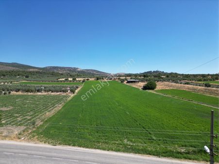 Beyaz Gayrımenkulden Üçpınar Mh De Satılık20 Dönüm Süper Tarla