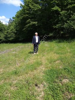 İznik Sansarak Mahallesinde Cazip Fiyata Satılık 40 Dönüm Geniş Arazi