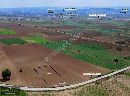 Bursa Yenişehir Barcın Mahallesi'nde Satılık Tarla