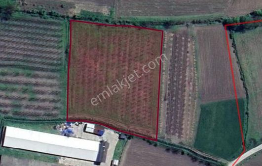 Henglobal'den Hendek'te Kaçmaz Fırsat! 10 Dönüm Yatırımlık Satılık Tarla !