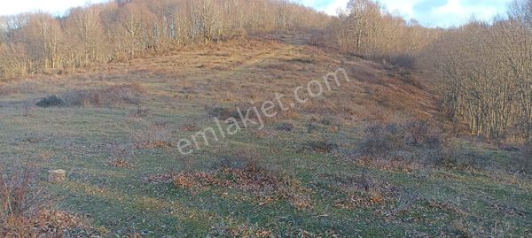 Aytaş Emlaktan Asarcık Yarımcada Satılık 27,5 Dönüm Tarla