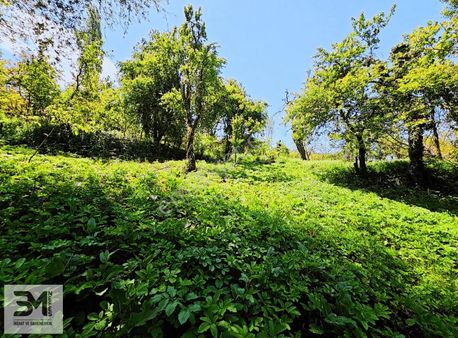 Geyve Belpınar 758 M² %40 Yemyeşil Doğa İçinde Panoramik İmarlı