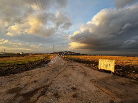Peçenek’te Köy İçi 456m2 Tap56ulu Telli Mesire Manzaralı Satılık Bahçe