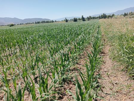 Duru Emlak'tan Satılık