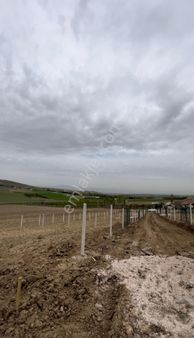 Peçenek Mesire Alanı Karşısı Elektrik Aktif 250 500 750m2 Satılık Hobi Bahçeleri