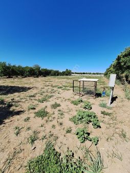 Merkez E Yakın Elektrik Su Problemi Olmayan Bahçe