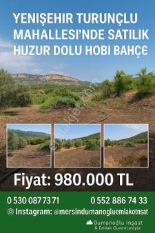 🌿 Yenişehir Turunçlu Mahallesi’nde Satılık Huzur Dolu Hobi Bahçesi 🌿