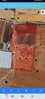 Burdur Tefenli Zafer Mah Satılık Tarla Sera Yapimina Uygun