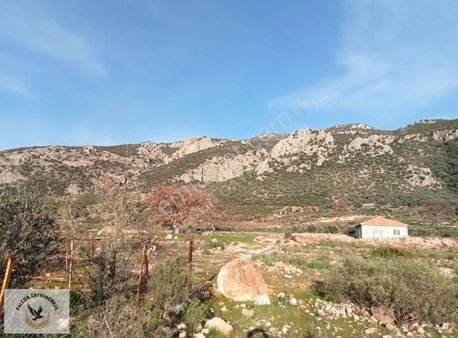 Falcon Dan Palamut Da Fırsat 4722m² Tarla