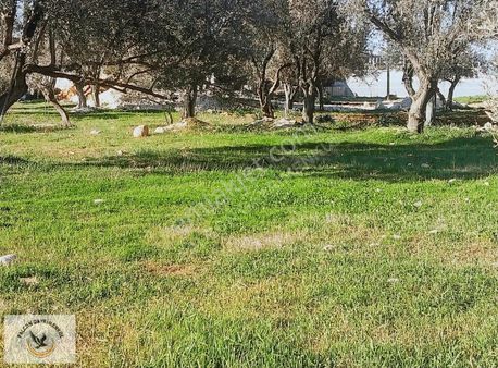 Falcon Dan Çavdır Da Frsat 1128m²arsa