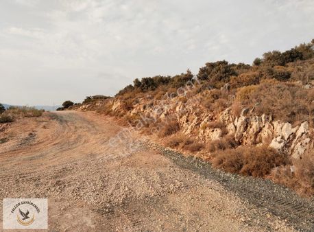 Falcon'dan Seydikemer Kumluova'da 20/40 İmarlı Arsa