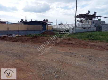 Falcon Dan Karaçulha Da Fırsat 480m² Tarla