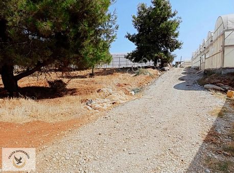 Falcon Dan Kaş Cavdır Da 1476m² Fırsat Arsa