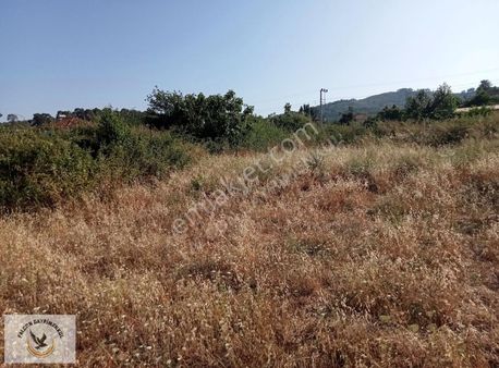 Falcon Dan Atlıdere De Fırsat 870m² Arsa