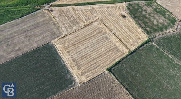 Bergama Merkezde Satılık Verimli Tarla