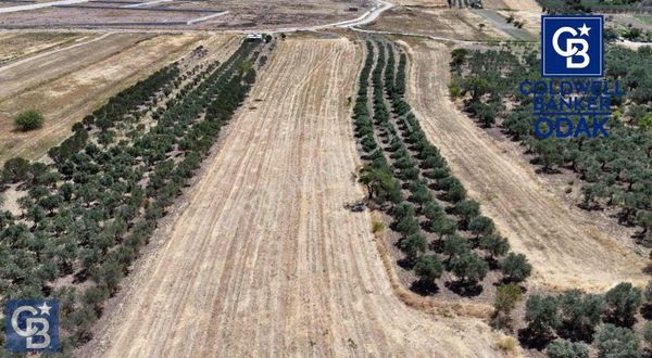 Aliağa Çaltılıdere'de Tersane Ve Hastane Yakını Yatırımlık Tarla