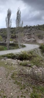 🌿 Bergama Durmuşlar Mahallesi Satılık Hobi Bahçesi — 1.350 M²