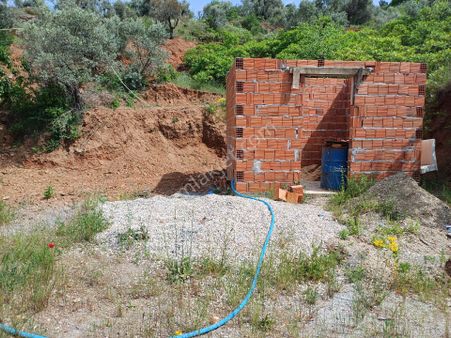 Sahibinden Kemalpaşa Ören Yaka Mevkiinde Yol Ve Sondajı Olan Zeytinlik