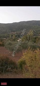Fethiye Çenger Mah.ilkon'dan Satılık Köyiçi İmarlı Tarla