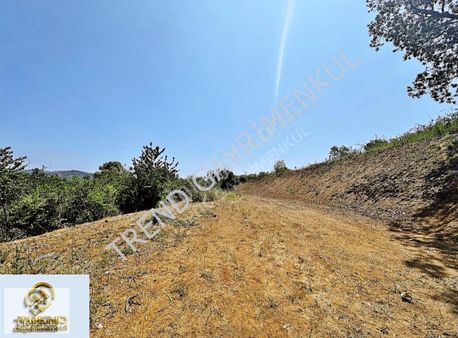 Bandırma Trend Emlaktan 745m2 Sarı Alanda Fırsat Satılık Arsa