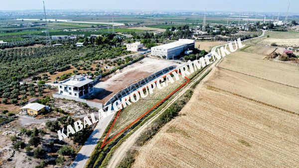 Adana Yüreğir Alihocalı'da 1472m² Tek Tapu Fırsat Tarla
