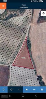 Bursa Mudanya Emirleryenicesi Köyünde Satılık Fırsat Tarla