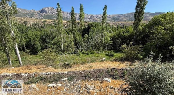 Konya Ereğli Küsere Köyünde Satılık Bahçe