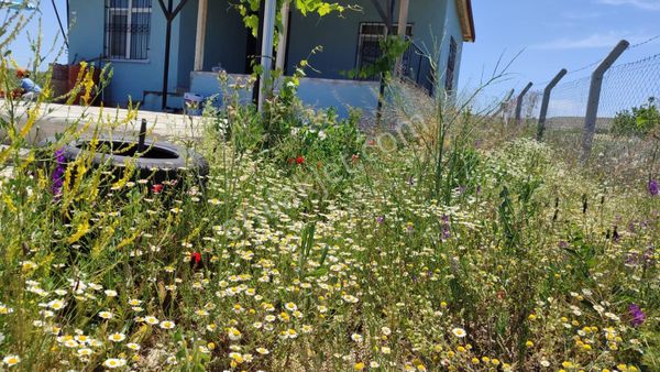 🌿 Hatunsaray Mahallesi’nde 1.390 M² Müstakil Tapulu Satılık Bahçe