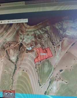 Yenikent'e Yakın Tek Tapu Tarla